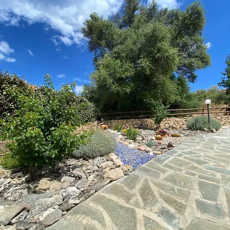 Peonia Villa Budoni